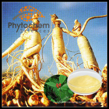 Panax Ginseng Extract powder 20% Ginsenosides